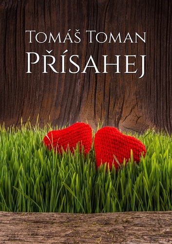 Kniha Přísahej - Tomáš Tománek