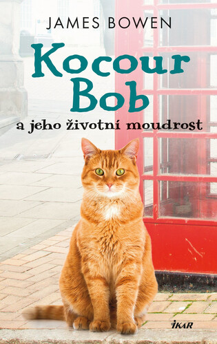 Kocour Bob a jeho životní moudrost