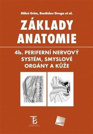 Kniha Základy anatomie 4b - Periferní nervový systém, smyslové orgány a kůže