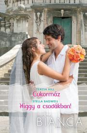 Kniha Bianca 271–272. - Bagwell Stella,Hill Teresa