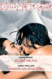 Kniha Tiffany 265–266. - Orwig Sara,Carly Phillips