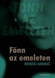 Kniha Fönn az emeleten - András Berkesi