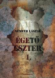 Kniha Égető Eszter I. kötet - László Németh