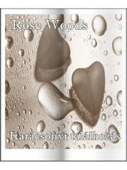 Kniha Karácsonyi találkozás - Woods Rose