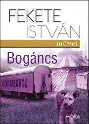 Bogáncs - István Fekete kúpite na Panta Rhei