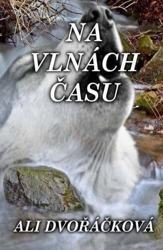 Kniha Na vlnách času - Ali Dvořáčková