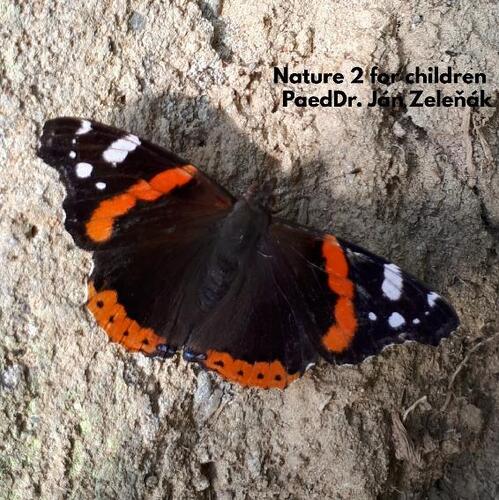 Kniha Nature for children, part 2 - János Zelenák