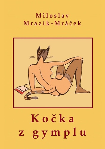 Kniha Kočka z gymplu - Miloslav Mrazík - Mráček