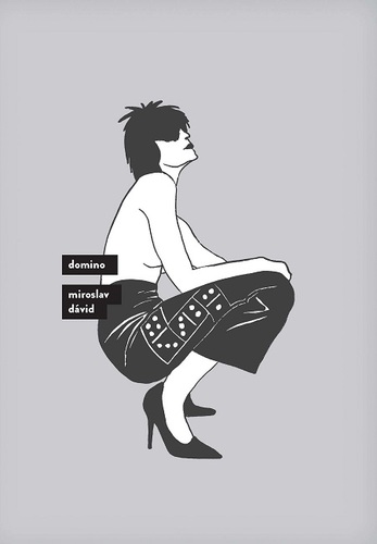Kniha Domino - Miroslav Dávid