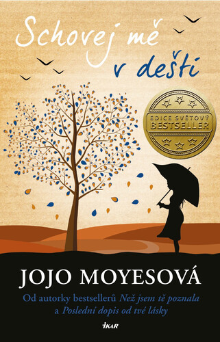 Kniha Schovej mě v dešti - Jojo Moyes