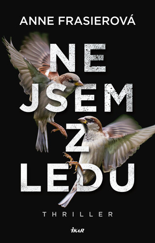 Kniha Nejsem z ledu - Anne Frasier