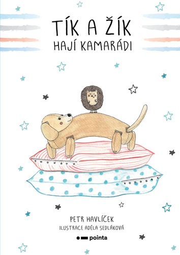 Kniha Tík a Žík, hají kamarádi - Petr Havlíček