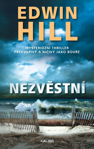 Kniha Nezvěstní - Edwin Hill