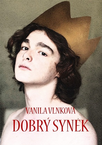 Kniha Dobrý synek - Vanila Vlnková
