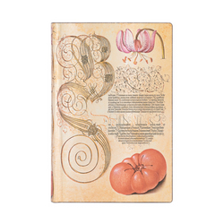 Zápisník Paperblanks Mira Botanica Mini Lined