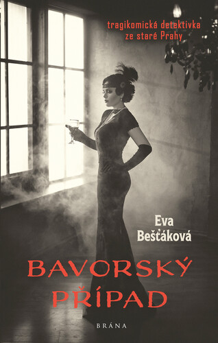 Kniha Bavorský případ - Eva Bešťáková
