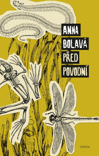 Kniha Před povodní - Anna Bolavá