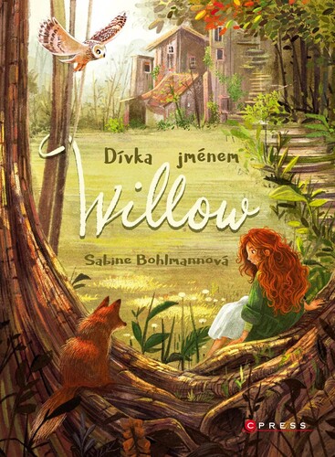 Kniha Dívka jménem Willow - Sabine Bohlmannová