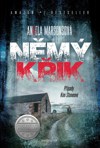 Němý křik (Případy Kim Stoneové 1) - Angela Marsonsová