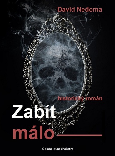 Kniha Zabít málo - David Nedoma
