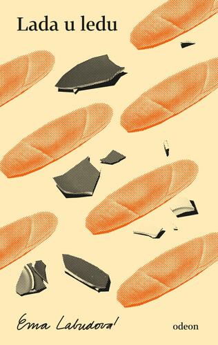 Kniha Lada u ledu - Ema Labudová