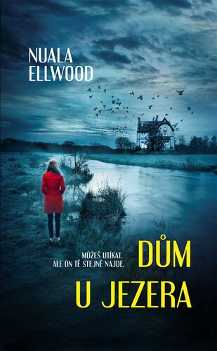 Kniha Dům u jezera - Nuala Ellwood