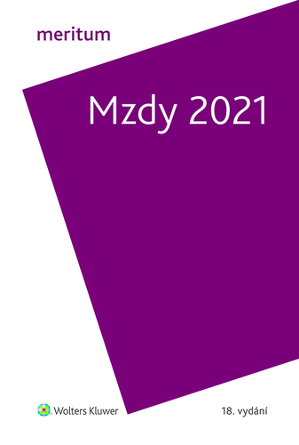 Meritum Mzdy 2021 - Kolektív autorov