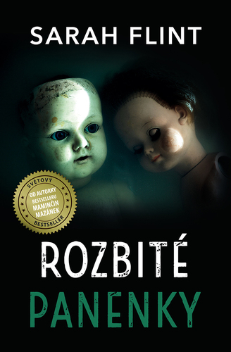 Kniha Rozbité panenky - Sarah Flint