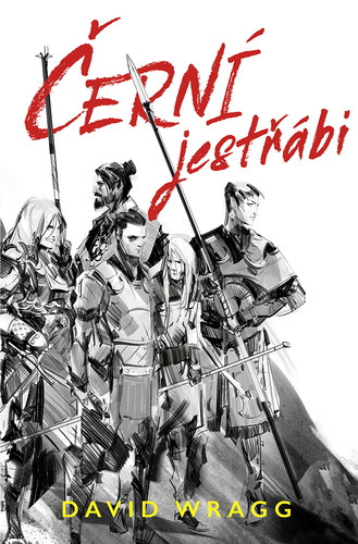 Kniha Černí jestřábi - David Wragg
