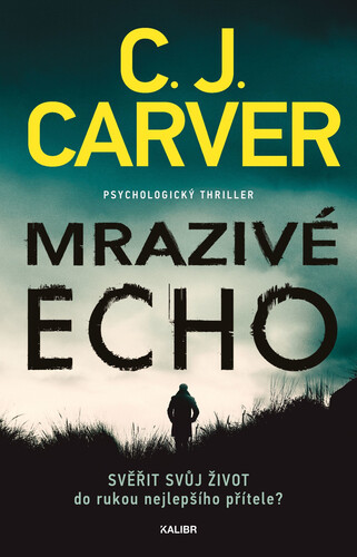 Kniha Mrazivé echo (Psycholog Harry Hope 1) - C.J. Carver
