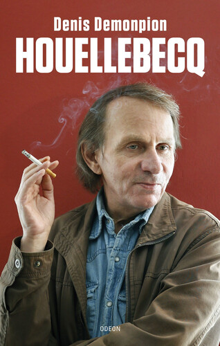 Kniha Houellebecq - Denis Demonpion