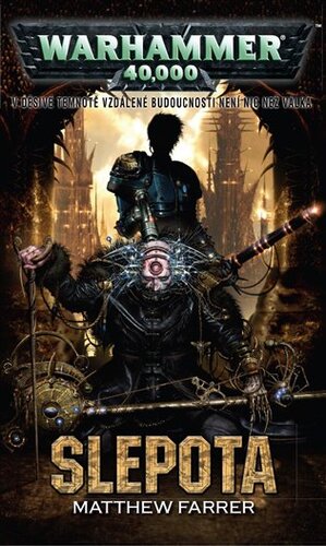 Kniha Slepota - Matthew Farrer