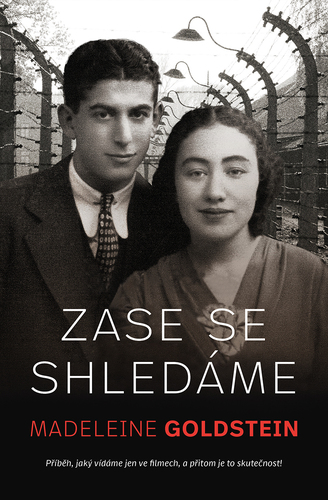 Kniha Zase se shledáme - Madeleine Goldstein