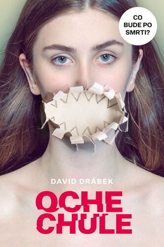 Kniha Ochechule - David Drábek