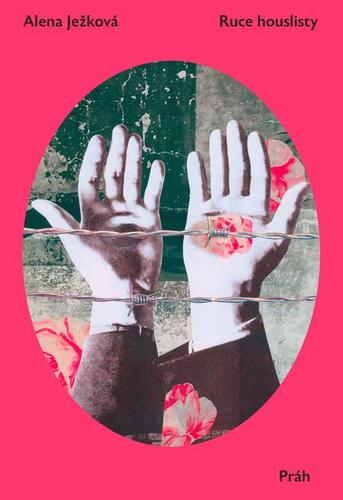 Kniha Ruce houslisty - Alena Ježková