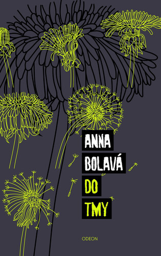 Kniha Do tmy - Anna Bolavá