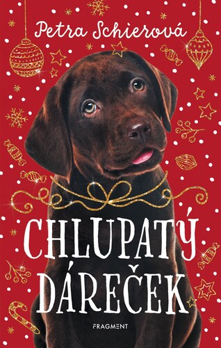 Kniha Chlupatý dáreček - Petra Schierová
