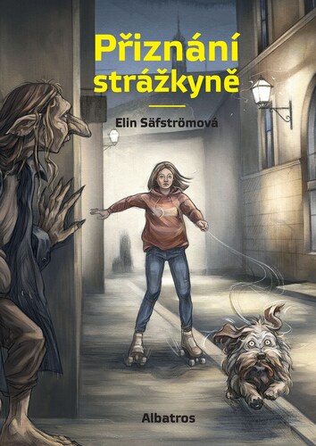 Kniha Přiznání strážkyně - Elin Säfström
