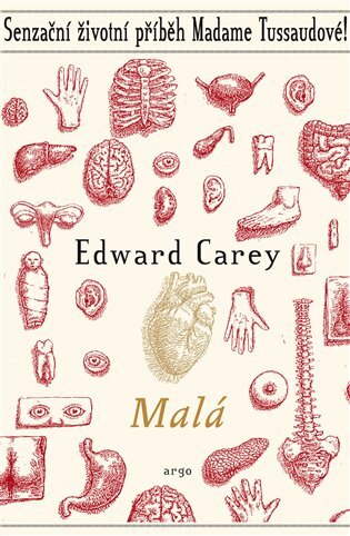 Kniha Malá - Edward Carey