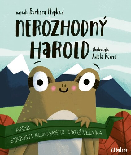 Kniha Nerozhodný Harold - Barbora Haplová