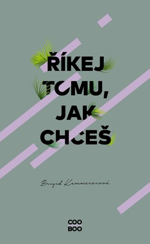 Kniha Říkej tomu, jak chceš - Brigid Kemmerer
