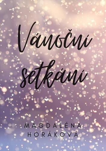 Kniha Vánoční setkání - Magdaléna Horáková