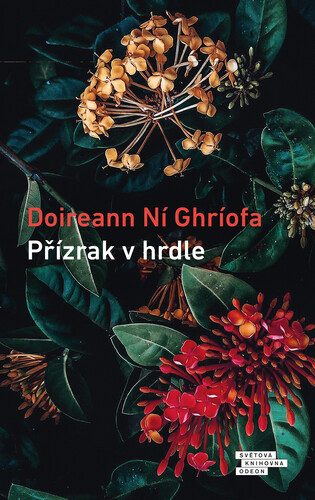 Přízrak v hrdle - Doireann Ní Ghríofa