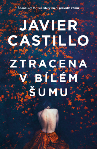 Kniha Ztracena v bílém šumu - Javier Castillo
