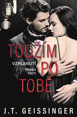 Kniha Toužím po tobě - T.J. Geissinger