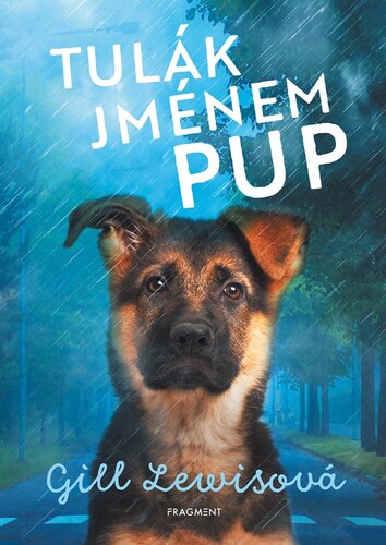 Kniha Tulák jménem Pup - Gill Lewis