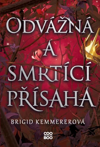 Odvážná a smrtící přísaha - Brigid Kemmerer