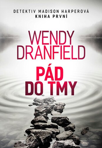 Kniha Pád do tmy - Wendy Dranfield