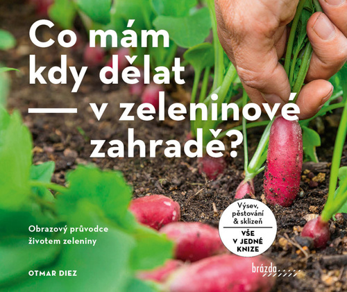 Co mám kdy dělat - v zeleninové zahradě? - Otmar Diez,Helena Piková