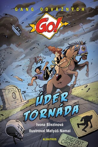 Kniha Úder tornáda - Ivona Březinová